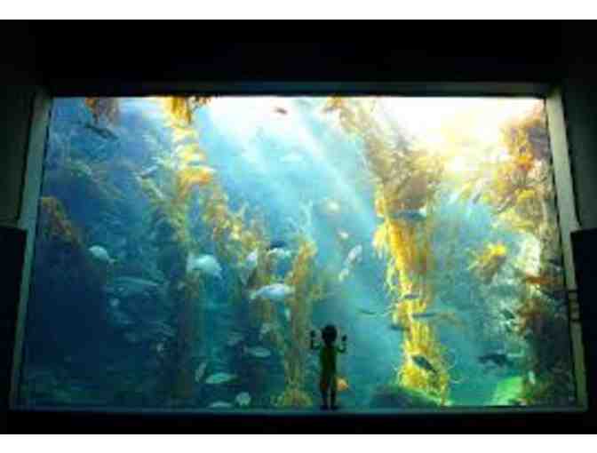 Birch Aquarium (4 tickets)