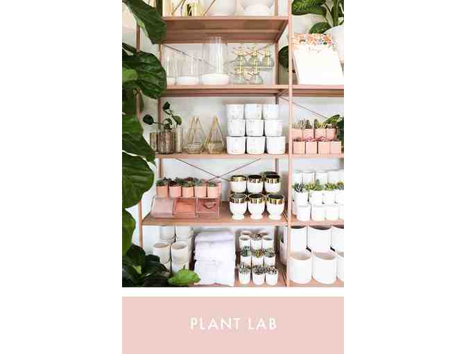 Pigment - $25 Gift Card