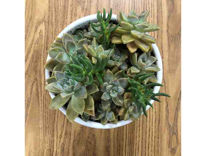 Classroom Art Project- Mrs. Abts - Macrame Planter