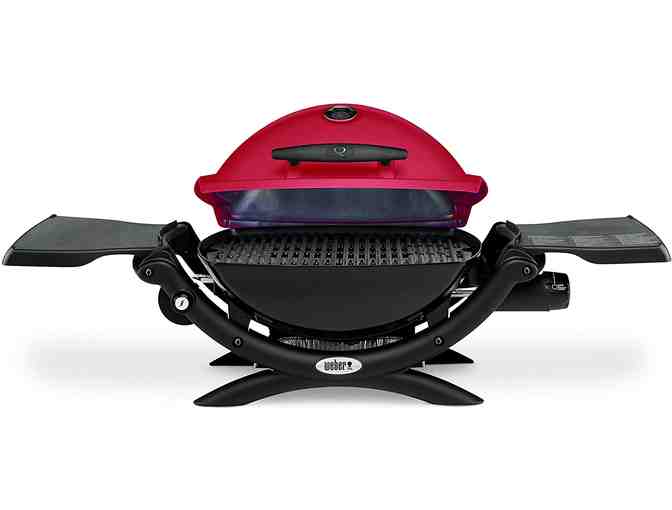 Weber Q 1200 Outdoor Gas Grill LP