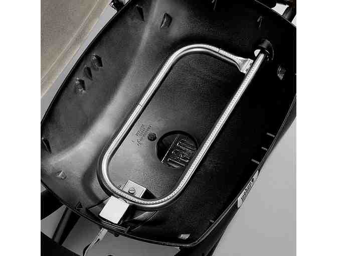 Weber Q 1200 Outdoor Gas Grill LP