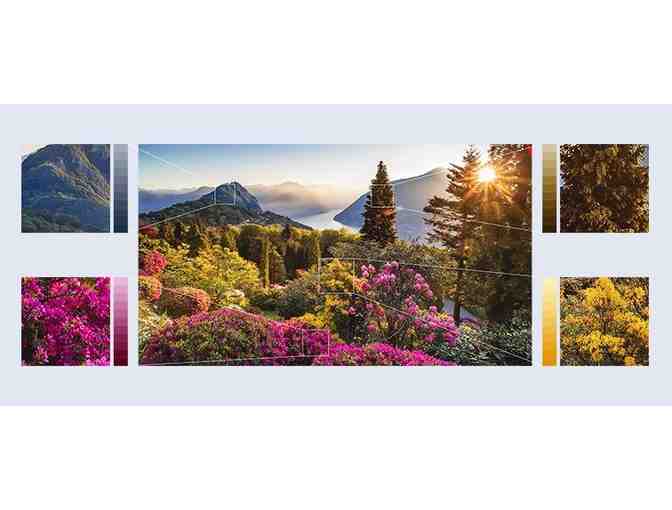 Sony 65' 4K HDR Smart TV