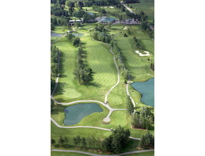 One (1) Golf Foursome at Century Pines Golf Club