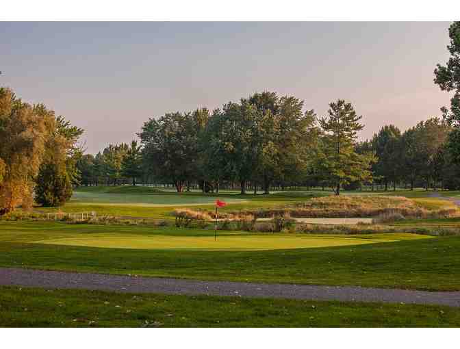 One (1) Golf Foursome at Century Pines Golf Club