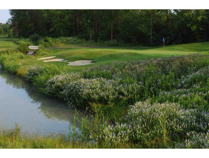 One (1) Golf Foursome at Royal Niagara Golf Club