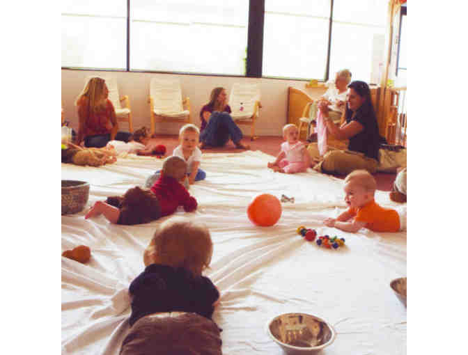 Tandy Parks MPH -- One Hour Private Consultation