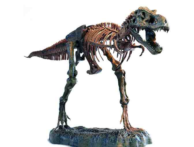 Tyrannosaurus Rex Skeleton Model