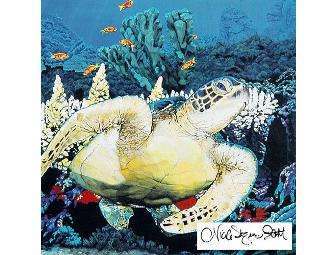 'Secrets at Silver Bank'