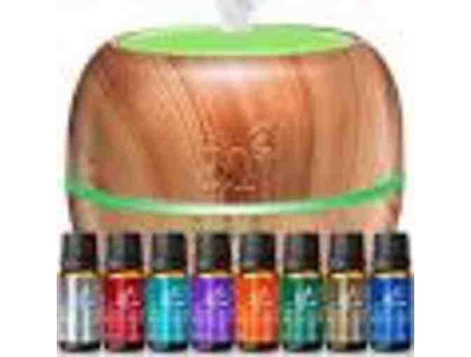 ART NATURALS ESSENTIAL OILS 8 SET