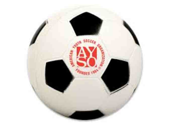 AYSO REGION 12 FALL REGISTRATION