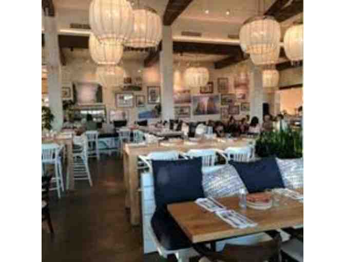 BRIO COASTAL BAR & KITCHEN $25