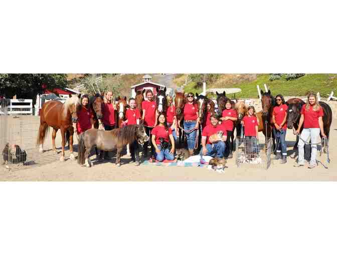 MYSTIC CANYON STABLE RIDING LESSON
