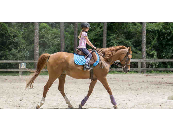 MYSTIC CANYON STABLE RIDING LESSON