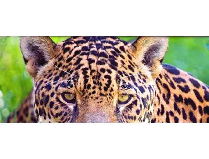 THE LIVING DESERT ZOO & GARDENS FAMILY FOUR PACK