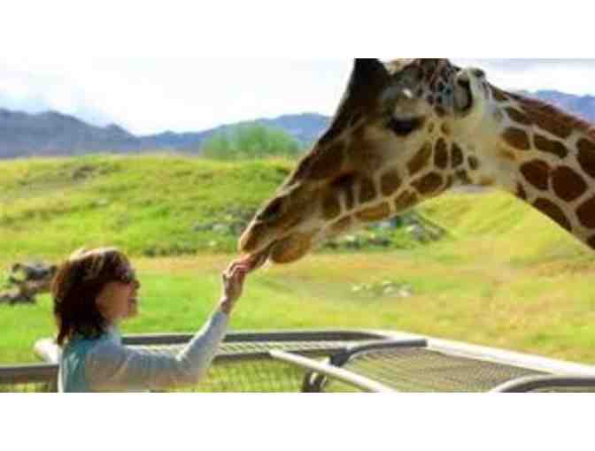 THE LIVING DESERT ZOO & GARDENS FAMILY FOUR PACK