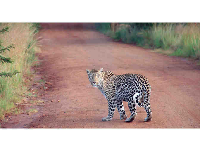 THE LIVING DESERT ZOO & GARDENS FAMILY FOUR PACK