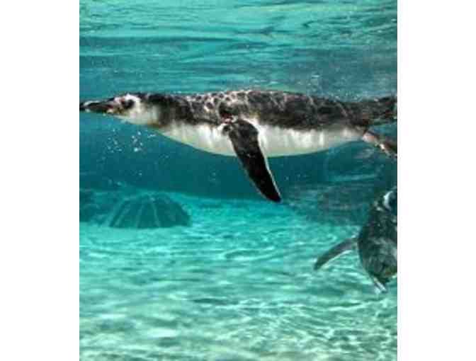 AQUARIUM OF THE PACIFIC FOR TWO