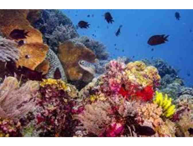 AQUARIUM OF THE PACIFIC FOR TWO