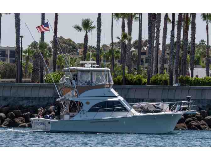 COCKTAIL CRUISE FOR 6 ON THE 'TEASER' HOSTED BY A STLM FAMILY