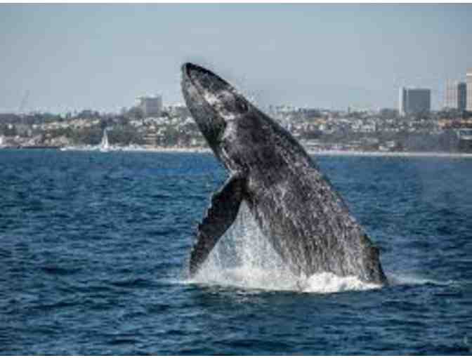 SPIRIT CRUISES TWO PASSES FOR 1-HOUR HARBOR CRUISE