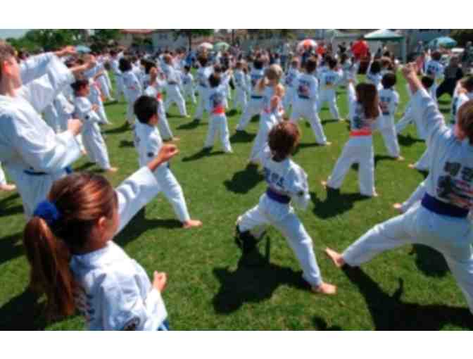 TAEKWONDO FOR YOU AND 4 FRIENDS