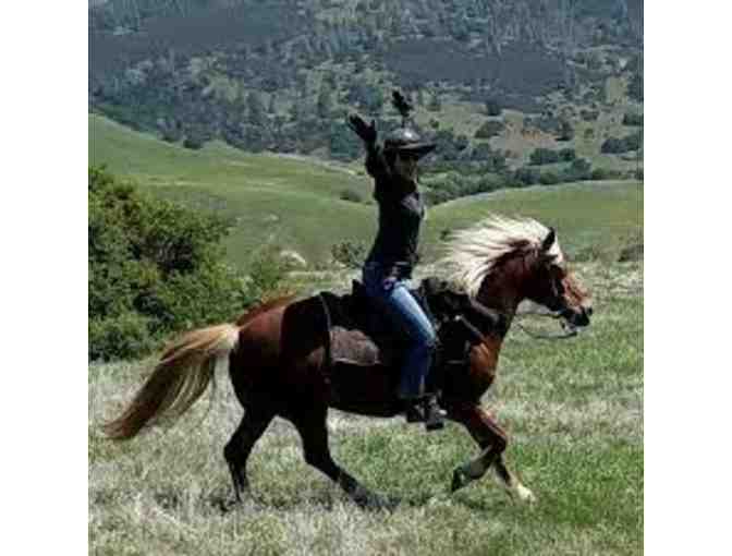 MYSTIC CANYON HORSE LESSONS