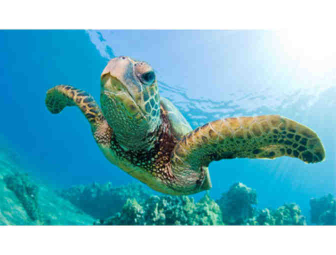 AQUARIUM OF THE PACIFIC FOR TWO