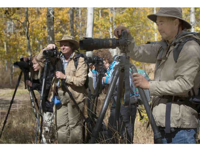 Creative Photo Academy $100- Photo Classes Beginner to Advanced