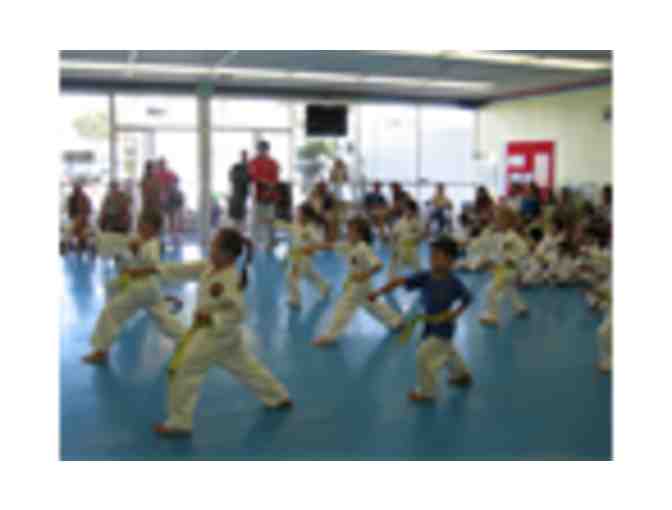 TAEKWONDO FOR YOU AND 4 FRIENDS