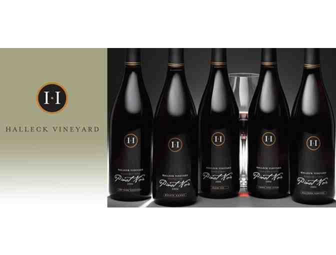 Wine Tasting & Food Pairing for 10 People (Halleck Vineyard)