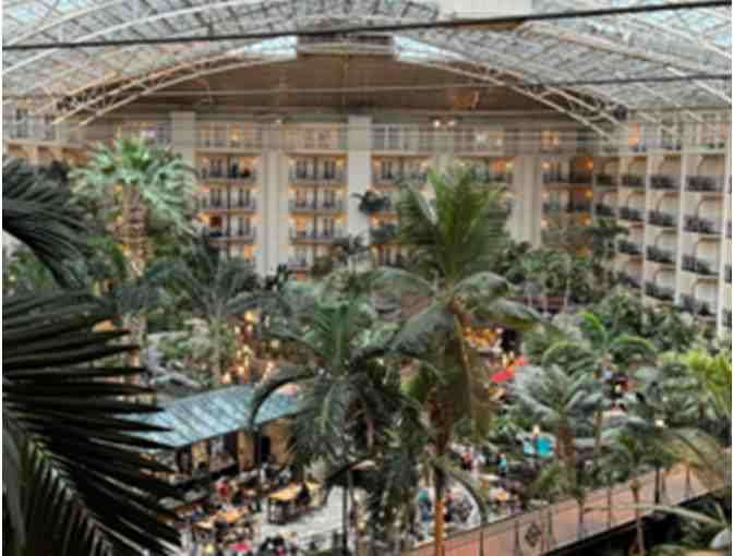 Be Amazed at the Gaylord Opryland Resort & Convention Center!