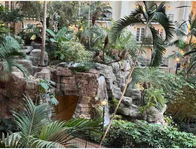 Be Amazed at the Gaylord Opryland Resort & Convention Center!