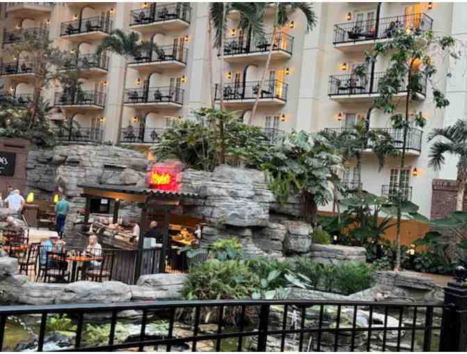 Be Amazed at the Gaylord Opryland Resort & Convention Center!