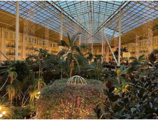 Be Amazed at the Gaylord Opryland Resort & Convention Center!