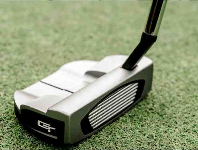 Be a Winner with this TaylorMade Golf Putter!