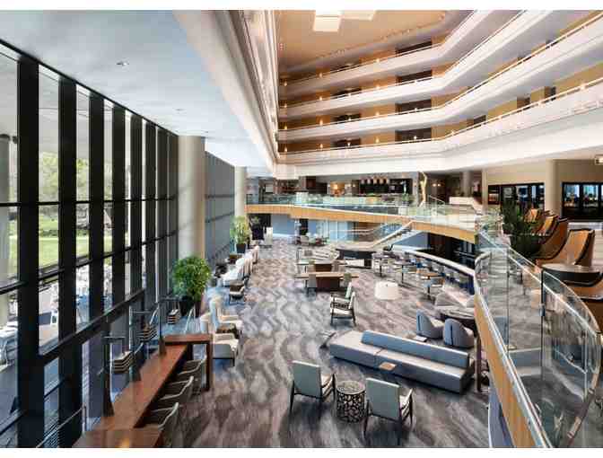 Choose your own Adventure at the Sawgrass Marriott! - Photo 4