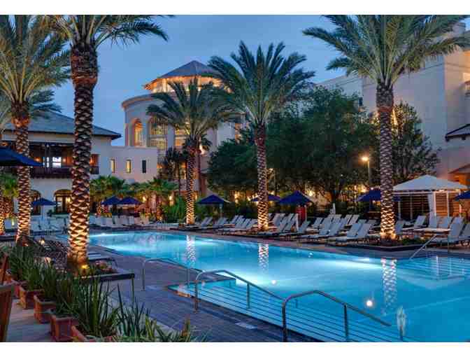 Experience Florida Fun! - Photo 1