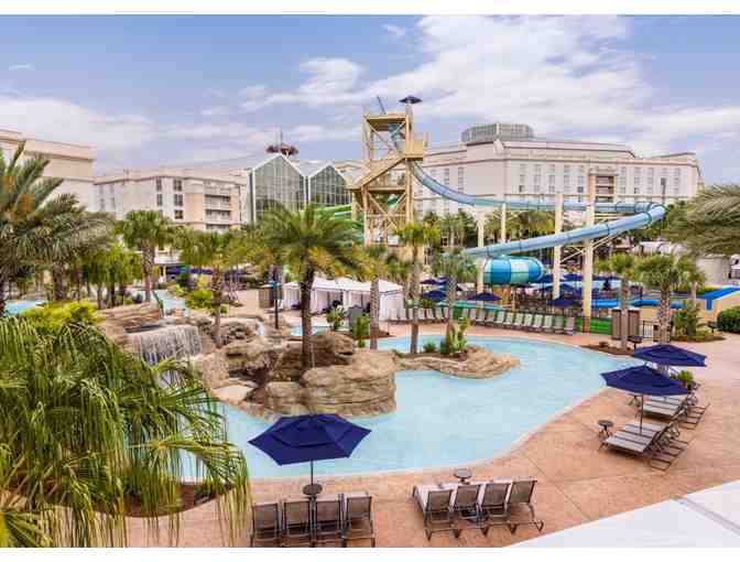 Experience Florida Fun! - Photo 2