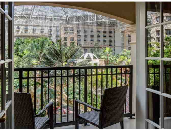 Experience Florida Fun! - Photo 3