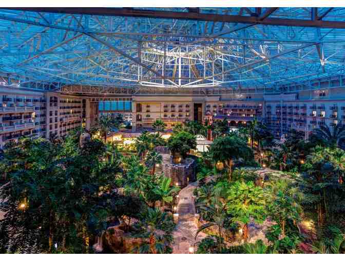 Experience Florida Fun! - Photo 4