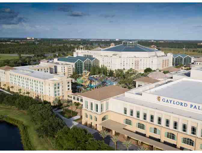 Experience Florida Fun! - Photo 5