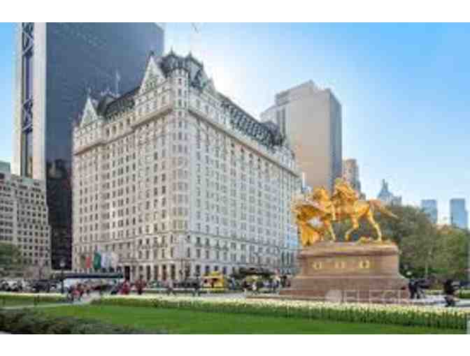 'Under the City Lights' New York City Experience