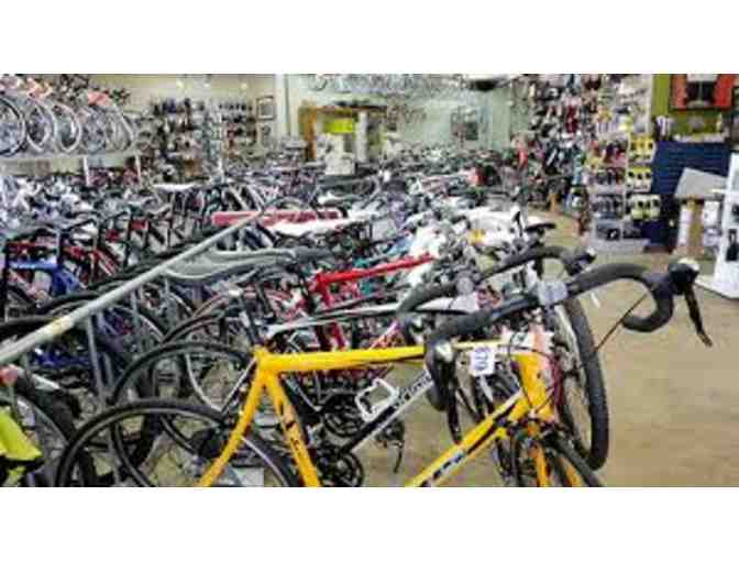 Bicycle Rental for 2 from Tom's Bicycles