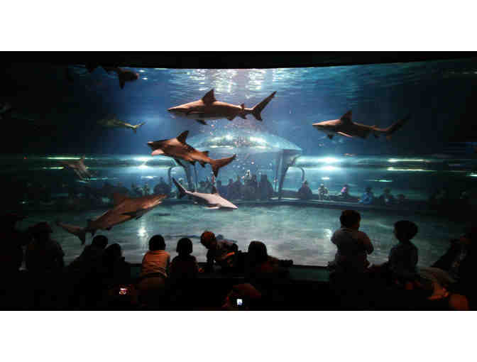 Oklahoma Aquarium Tickets