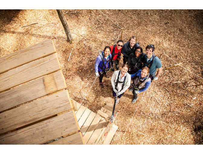 TreeTop Adventures Zip-Line and Climbing Park in Canton - 1 Ticket