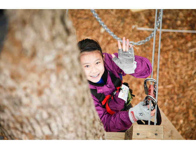 TreeTop Adventures Zip-Line and Climbing Park in Canton - 1 Ticket