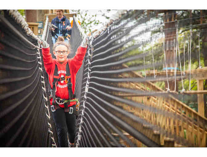 TreeTop Adventures Zip-Line and Climbing Park in Canton - 1 Ticket