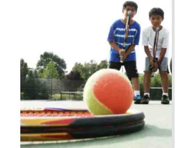 Meadowbrook Day Camp - 50% off 1 Session of Summer Camp!