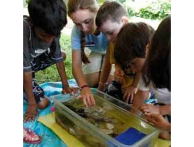 Summer at Park - $300 Off 1 Session of Summer Camp at The Park School in Brookline