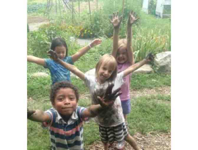Newton Community Farm - $50 Gift Certificate for ANY Class or Camp!